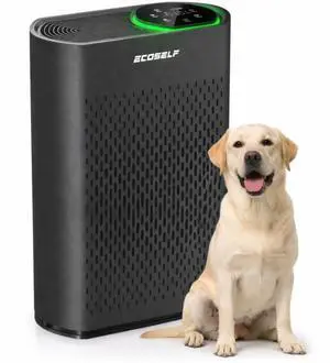 Air Purifier, Large Touch Display Control, Real-Time Air Quality 30 Mins Air Purifiers for Home Air Purifier, Large Touch Display Control, Real-Time Air Quality 30 Mins Air Purifiers for Home