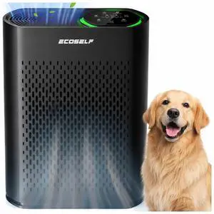 ECOSELF Air Purifier for Large Rooms Up to 2,400 Sq Ft, Air Intake, HEPA Filter with Smart Auto, Black ECOSELF Air Purifier for Large Rooms Up to 2,400 Sq Ft, Air Intake, HEPA Filter with Smart Auto, Black