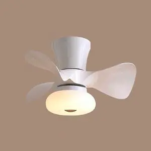21.6 Inch Smart Ceiling Fan with Lights Modern Dimmable Ceiling Fan with Remote Mute Low Profile Ceiling Fan with Light Led Flush Mount Indoor Ceiling Fans Outdoor Ceiling Fans for Patios 21.6 Inch Smart Ceiling Fan with Lights Modern Dimmable Ceiling Fan with Remote Mute Low Profile Ceiling Fan with Light Led Flush Mount Indoor Ceiling Fans Outdoor Ceiling Fans for Patios