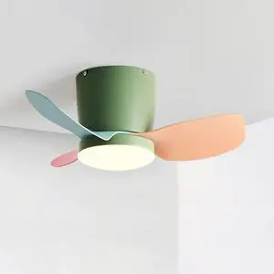 Modern Simple Ceiling Fan with Lights 24 Inch Ceiling Fan with Lights and Remote Small LED Kids Room Ceiling Fan Light Color Flush Mount Ceiling Fan with Lights Modern Simple Ceiling Fan with Lights 24 Inch Ceiling Fan with Lights and Remote Small LED Kids Room Ceiling Fan Light Color Flush Mount Ceiling Fan with Lights