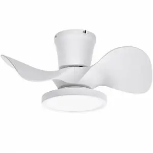 22 inch Ceiling Fans with Lights, Low Profile Ceiling Fan with Light and Remote Control, Reversible, 3CCT, Noiseless, 3 Speed Large Air Volume Ceiling Fans for Kitchen Bedroom Dining Room 22 inch Ceiling Fans with Lights, Low Profile Ceiling Fan with Light and Remote Control, Reversible, 3CCT, Noiseless, 3 Speed Large Air Volume Ceiling Fans for Kitchen Bedroom Dining Room