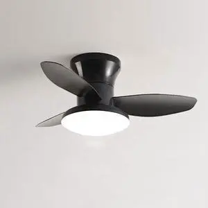 Small Modern Ceiling Fans with Lights 23.5 inch Flush Mount Ceiling Fan with Light and Remote 6 Speed 3 Color Reversible Smart Ceiling Fans for Bedroom, Living Room, Kids Room Small Modern Ceiling Fans with Lights 23.5 inch Flush Mount Ceiling Fan with Light and Remote 6 Speed 3 Color Reversible Smart Ceiling Fans for Bedroom, Living Room, Kids Room