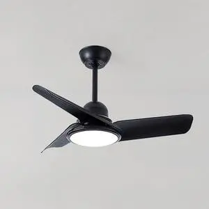 Small Modern Ceiling Fan with Lights 24 inch Kids Room Ceiling Fan with Lights and Remote Reversible Silent Indoor Ceiling Fans for Bedroom Kitchen Living Room Small Modern Ceiling Fan with Lights 24 inch Kids Room Ceiling Fan with Lights and Remote Reversible Silent Indoor Ceiling Fans for Bedroom Kitchen Living Room