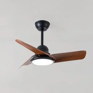 Small Modern Ceiling Fan with Lights 24 inch Kids Room Ceiling Fan with Lights and Remote Reversible Silent Indoor Ceiling Fans for Bedroom Kitchen Living Room Small Modern Ceiling Fan with Lights 24 inch Kids Room Ceiling Fan with Lights and Remote Reversible Silent Indoor Ceiling Fans for Bedroom Kitchen Living Room