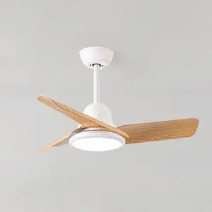Small Modern Ceiling Fan with Lights 24 inch Kids Room Ceiling Fan with Lights and Remote Reversible Silent Indoor Ceiling Fans for Bedroom Kitchen Living Room Small Modern Ceiling Fan with Lights 24 inch Kids Room Ceiling Fan with Lights and Remote Reversible Silent Indoor Ceiling Fans for Bedroom Kitchen Living Room