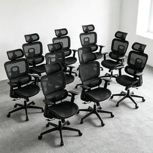 Ergonomic Office Chair 10 Pack, High Back Mesh Desk Chair with Adjustable Headrest & 3D Armrests, Lumbar Support, 90145° Recline Swivel Rolling Computer Chair for Home Conference Room (10) Ergonomic Office Chair 10 Pack, High Back Mesh Desk Chair with Adjustable Headrest & 3D Armrests, Lumbar Support, 90145° Recline Swivel Rolling Computer Chair for Home Conference Room (10)