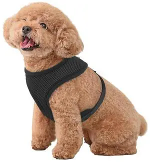 Dog Harness for Small Sized Dog, Soft Puppy Padded Vest for Walking, Running, Training - Black, S Dog Harness for Small Sized Dog, Soft Puppy Padded Vest for Walking, Running, Training - Black, S