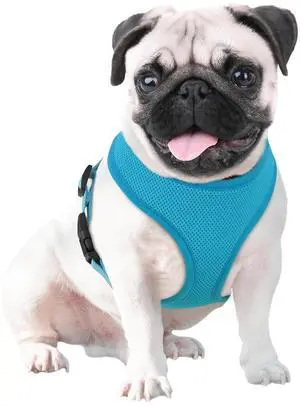 Dog Harness for Medium Sized Dog, Soft Puppy Padded Vest for Walking, Running, Training - Sky Blue, L Dog Harness for Medium Sized Dog, Soft Puppy Padded Vest for Walking, Running, Training - Sky Blue, L
