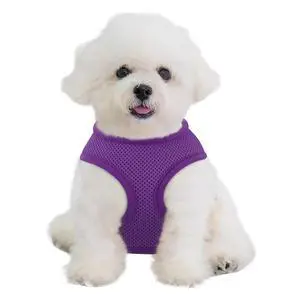 Dog Harness for Small Sized Dog, Soft Puppy Padded Vest for Walking, Running, Training - Purple, XS Dog Harness for Small Sized Dog, Soft Puppy Padded Vest for Walking, Running, Training - Purple, XS