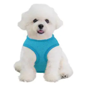 Dog Harness for Small Sized Dog, Soft Puppy Padded Vest for Walking, Running, Training - Sky Blue, XS Dog Harness for Small Sized Dog, Soft Puppy Padded Vest for Walking, Running, Training - Sky Blue, XS