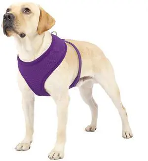 Dog Harness for Large Sized Dog, Soft Puppy Padded Vest for Walking, Running, Training - Purple, XL Dog Harness for Large Sized Dog, Soft Puppy Padded Vest for Walking, Running, Training - Purple, XL