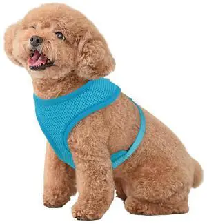Dog Harness for Small Sized Dog, Soft Puppy Padded Vest for Walking, Running, Training - Sky Blue, S Dog Harness for Small Sized Dog, Soft Puppy Padded Vest for Walking, Running, Training - Sky Blue, S
