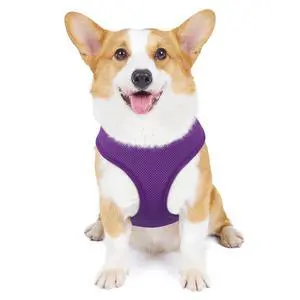 Dog Harness for Small Sized Dog, Soft Puppy Padded Vest for Walking, Running, Training - Purple, M Dog Harness for Small Sized Dog, Soft Puppy Padded Vest for Walking, Running, Training - Purple, M
