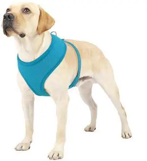 Dog Harness for Large Sized Dog, Soft Puppy Padded Vest for Walking, Running, Training - Sky Blue, XL Dog Harness for Large Sized Dog, Soft Puppy Padded Vest for Walking, Running, Training - Sky Blue, XL