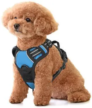 Reflective Dog Harness, No Pull Vest Harness with Handle, Adjustable Soft Padded Pet Harness for Small Dogs, Sky Blue, S Reflective Dog Harness, No Pull Vest Harness with Handle, Adjustable Soft Padded Pet Harness for Small Dogs, Sky Blue, S