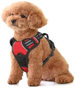 Reflective Dog Harness, No Pull Vest Harness with Handle, Adjustable Soft Padded Pet Harness for Small Dogs, Red, S Reflective Dog Harness, No Pull Vest Harness with Handle, Adjustable Soft Padded Pet Harness for Small Dogs, Red, S
