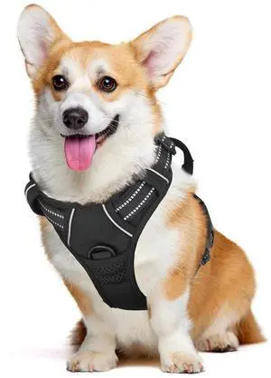 Reflective Dog Harness, No Pull Vest Harness with Handle, Adjustable Soft Padded Pet Harness for Medium Dogs, Black, M Reflective Dog Harness, No Pull Vest Harness with Handle, Adjustable Soft Padded Pet Harness for Medium Dogs, Black, M