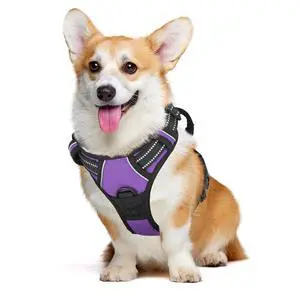 Reflective Dog Harness, No Pull Vest Harness with Handle, Adjustable Soft Padded Pet Harness for Medium Dogs, Purple, M Reflective Dog Harness, No Pull Vest Harness with Handle, Adjustable Soft Padded Pet Harness for Medium Dogs, Purple, M