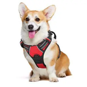 Reflective Dog Harness, No Pull Vest Harness with Handle, Adjustable Soft Padded Pet Harness for Medium Dogs, Red, M Reflective Dog Harness, No Pull Vest Harness with Handle, Adjustable Soft Padded Pet Harness for Medium Dogs, Red, M