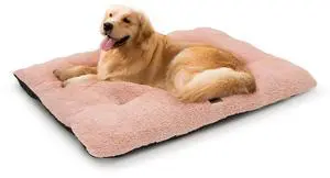 39"x29"x5" Dog Beds for Large Size Dogs Machine-Washable Short Plush Pet Beds Warming Cozy Soft Bed for Dogs and Cat, Pink 39"x29"x5" Dog Beds for Large Size Dogs Machine-Washable Short Plush Pet Beds Warming Cozy Soft Bed for Dogs and Cat, Pink