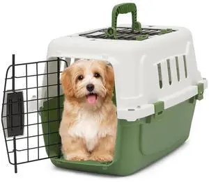 18-Inch 2-Door Top Loading Cat Carrier, Plastic Dog Crate Hard-Sided Dog Travel Carrier for Small Dogs and Cats, Ventilation and Security Lock Design for Pets up to 10 lbs (Green) 18-Inch 2-Door Top Loading Cat Carrier, Plastic Dog Crate Hard-Sided Dog Travel Carrier for Small Dogs and Cats, Ventilation and Security Lock Design for Pets up to 10 lbs (Green)