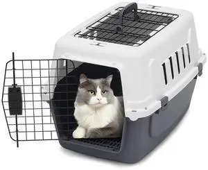 22 Inch Hard-Sided Plastic Dog Carrier 2 Door Travel Crate for Small Dogs Cats up to 22 lbs, Durable Handle, Security Lock Design, Gray 22 Inch Hard-Sided Plastic Dog Carrier 2 Door Travel Crate for Small Dogs Cats up to 22 lbs, Durable Handle, Security Lock Design, Gray