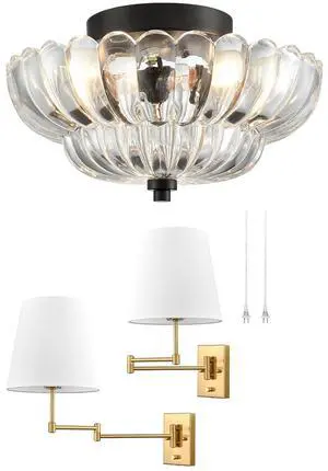 HYDELITE Black Ceiling Light & Gold Swing Arm Wall Lamp Set, Creating Unique Light and Shadow Charm! HYDELITE Black Ceiling Light & Gold Swing Arm Wall Lamp Set, Creating Unique Light and Shadow Charm!