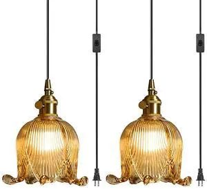 Vintage Plug-in Pendant Light Flower Amber Glass Lampshade Glass Plug in Hanging Lamp Gold Brass Socket E26 Hanging Lamp with 14.7Ft Adjustable Cord Pendant Lamp Living Room Kitchen Vintage Plug-in Pendant Light Flower Amber Glass Lampshade Glass Plug in Hanging Lamp Gold Brass Socket E26 Hanging Lamp with 14.7Ft Adjustable Cord Pendant Lamp Living Room Kitchen