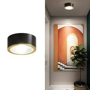 Black LED Flush Mount Ceiling Light 9W Warm Light Modern Brass Ceiling Lamp for Bedroom, Living Room, Entryway Black LED Flush Mount Ceiling Light 9W Warm Light Modern Brass Ceiling Lamp for Bedroom, Living Room, Entryway