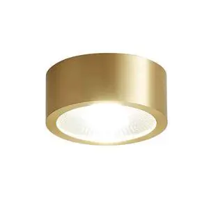 Hallway Ceiling Light Fixtures Gold LED Flush Mount Ceiling Light 9W Warm Light Modern Brass Ceiling Lamp for Bedroom Living Room Entryway (Gold) Hallway Ceiling Light Fixtures Gold LED Flush Mount Ceiling Light 9W Warm Light Modern Brass Ceiling Lamp for Bedroom Living Room Entryway (Gold)