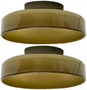 13.8 Green Flush Mount Ceiling Light Mid Century Modern Ceiling Lamp with Round Dome Glass Shade Vintage Glass Semi Flush Mount Lights Fixtures Hardwired Lighting for Bedroom Hallway 13.8 Green Flush Mount Ceiling Light Mid Century Modern Ceiling Lamp with Round Dome Glass Shade Vintage Glass Semi Flush Mount Lights Fixtures Hardwired Lighting for Bedroom Hallway