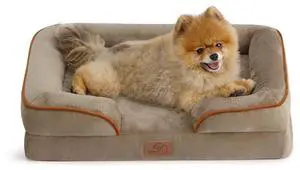 Orthopedic Dog Beds for Small Dogs with Removable Washable Cover | 24" Classic Comfy Puppy Couch Sofa Waterproof, Cozy Bolster Sides, Nonslip Bottom, Pet bed for Cats,Senior Dogs, Hazel Orthopedic Dog Beds for Small Dogs with Removable Washable Cover | 24" Classic Comfy Puppy Couch Sofa Waterproof, Cozy Bolster Sides, Nonslip Bottom, Pet bed for Cats,Senior Dogs, Hazel