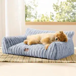 ComfyFleece Shown on TV Fluffy Dog Couch for Pets,30in Blue Indigo | Small & Medium Dog Bed Washable Cover,Supportive Couch Bed for Small Dogs,Pet Sofa Seen on Good Day New York,Up to 20 Lbs ComfyFleece Shown on TV Fluffy Dog Couch for Pets,30in Blue Indigo | Small & Medium Dog Bed Washable Cover,Supportive Couch Bed for Small Dogs,Pet Sofa Seen on Good Day New York,Up to 20 Lbs