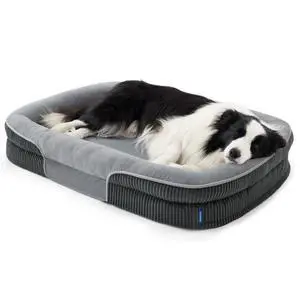 XL 360°Oval Bolster Orthopedic Dog Beds Large Sized Dog,42" Grey | Egg-Crate Foam for Senior Dogs, Big Comfort Pet Sofa Couch with Ultra-Soft Fleece Waterproof Washable Cover XL 360°Oval Bolster Orthopedic Dog Beds Large Sized Dog,42" Grey | Egg-Crate Foam for Senior Dogs, Big Comfort Pet Sofa Couch with Ultra-Soft Fleece Waterproof Washable Cover