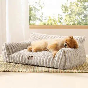ComfyFleece Shown on TV Fluffy Dog Couch for Pets,30in Amphora | Small & Medium Dog Bed Washable Cover,Supportive Couch Bed for Small Dogs,Pet Sofa Seen on Good Day New York,Up to 20 Lbs ComfyFleece Shown on TV Fluffy Dog Couch for Pets,30in Amphora | Small & Medium Dog Bed Washable Cover,Supportive Couch Bed for Small Dogs,Pet Sofa Seen on Good Day New York,Up to 20 Lbs