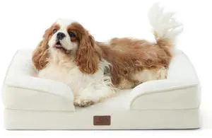 Orthopedic Dog Beds for Medium Dogs with Removable Washable Cover | 28" Classic Comfy Medium Dog Couch Sofa Waterproof, Cozy Bolster Sides, Nonslip Bottom, Pet bed for Cats,Senior Dogs, Beige Orthopedic Dog Beds for Medium Dogs with Removable Washable Cover | 28" Classic Comfy Medium Dog Couch Sofa Waterproof, Cozy Bolster Sides, Nonslip Bottom, Pet bed for Cats,Senior Dogs, Beige