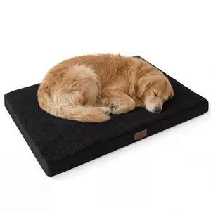 XL Dog Bed, Extra Large Pet Bed with Comfy Sherpa,44x32in Black | Orthopedic Egg Crate Foam,Comfort Support Flat Rectangle Pet Mat,Non-Slip Bottom,Removable Cover,For Extra Pet Up to 80 lbs XL Dog Bed, Extra Large Pet Bed with Comfy Sherpa,44x32in Black | Orthopedic Egg Crate Foam,Comfort Support Flat Rectangle Pet Mat,Non-Slip Bottom,Removable Cover,For Extra Pet Up to 80 lbs