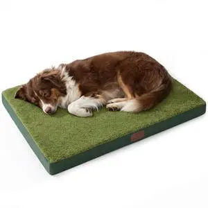 Washable Dog Beds Large Sized Dog with Comfy Sherpa, 36" Dark Green | Orthopedic Egg Crate Foam,Comfort Support Flat Rectangle Pet Mat,Non-Slip Bottom,Removable Cover,For Large Breed Up to 55 lbs Washable Dog Beds Large Sized Dog with Comfy Sherpa, 36" Dark Green | Orthopedic Egg Crate Foam,Comfort Support Flat Rectangle Pet Mat,Non-Slip Bottom,Removable Cover,For Large Breed Up to 55 lbs