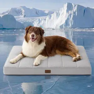 Cooling Dog Beds Large Sized Dog, Breathable Pet Summer Bed, 36Inch | Orthopedic Egg Crate Foam, Cold Summer Pad Mat, Non-Slip Bottom, Comfy Removable Washable Cover, For Pets Up to 55 lbs Cooling Dog Beds Large Sized Dog, Breathable Pet Summer Bed, 36Inch | Orthopedic Egg Crate Foam, Cold Summer Pad Mat, Non-Slip Bottom, Comfy Removable Washable Cover, For Pets Up to 55 lbs