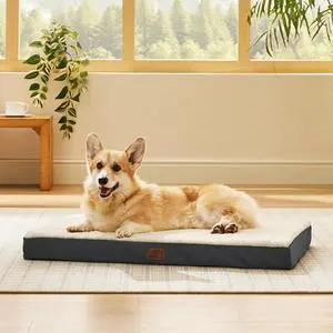 Washable Dog Crate Bed for Large Size with Comfy Sherpa,35x22 Grey | Orthopedic Egg Crate Foam,Comfort Support Flat Rectangle Pet Mat,Non-Slip Bottom,Removable Cover,For Large Breed Up to 40 lbs Washable Dog Crate Bed for Large Size with Comfy Sherpa,35x22 Grey | Orthopedic Egg Crate Foam,Comfort Support Flat Rectangle Pet Mat,Non-Slip Bottom,Removable Cover,For Large Breed Up to 40 lbs