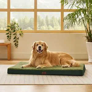 XL Dog Bed, Extra Large Pet Bed with Comfy Sherpa,44x32 Dark Green | Orthopedic Egg Crate Foam,Comfort Support Flat Rectangle Pet Mat,Non-Slip Bottom,Removable Cover,For Extra Pet Up to 80 lbs XL Dog Bed, Extra Large Pet Bed with Comfy Sherpa,44x32 Dark Green | Orthopedic Egg Crate Foam,Comfort Support Flat Rectangle Pet Mat,Non-Slip Bottom,Removable Cover,For Extra Pet Up to 80 lbs