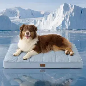 Cooling Dog Beds Large Sized Dog, Breathable Pet Summer Bed, 36Inch | Orthopedic Egg Crate Foam, Cold Summer Pad Mat, Non-Slip Bottom, Comfy Removable Washable Cover, For Pets Up to 55 lbs Cooling Dog Beds Large Sized Dog, Breathable Pet Summer Bed, 36Inch | Orthopedic Egg Crate Foam, Cold Summer Pad Mat, Non-Slip Bottom, Comfy Removable Washable Cover, For Pets Up to 55 lbs