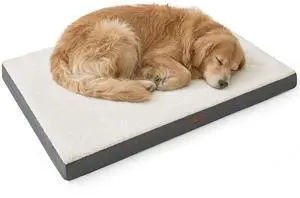 XL Dog Bed, Extra Large Pet Bed with Comfy Sherpa,44x32in Grey | Orthopedic Egg Crate Foam,Comfort Support Flat Rectangle Pet Mat,Non-Slip Bottom,Removable Cover,For Extra Pet Up to 80 lbs XL Dog Bed, Extra Large Pet Bed with Comfy Sherpa,44x32in Grey | Orthopedic Egg Crate Foam,Comfort Support Flat Rectangle Pet Mat,Non-Slip Bottom,Removable Cover,For Extra Pet Up to 80 lbs