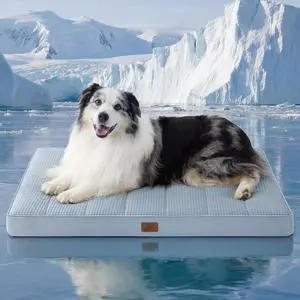 XL Cooling Dog Bed for Crate, Breathable Pet Summer Bed, 41x29 Inch | Orthopedic Egg Crate Foam, Cold Summer Pad Mat, Non-Slip Bottom, Comfy Removable Washable Cover, For Pets Up to 65 lbs XL Cooling Dog Bed for Crate, Breathable Pet Summer Bed, 41x29 Inch | Orthopedic Egg Crate Foam, Cold Summer Pad Mat, Non-Slip Bottom, Comfy Removable Washable Cover, For Pets Up to 65 lbs
