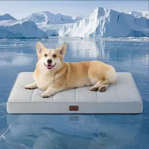 Cooling Dog Bed for Crate, Large Breathable Pet Summer Bed, 35 Inch | Orthopedic Egg Crate Foam, Cold Summer Pad Mat, Non-Slip Bottom, Comfy Removable Washable Cover, For Pets Up to 40 lbs Cooling Dog Bed for Crate, Large Breathable Pet Summer Bed, 35 Inch | Orthopedic Egg Crate Foam, Cold Summer Pad Mat, Non-Slip Bottom, Comfy Removable Washable Cover, For Pets Up to 40 lbs