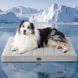 XL Cooling Dog Bed for Crate, Breathable Pet Summer Bed, 41x29 Inch | Orthopedic Egg Crate Foam, Cold Summer Pad Mat, Non-Slip Bottom, Comfy Removable Washable Cover, For Pets Up to 65 lbs XL Cooling Dog Bed for Crate, Breathable Pet Summer Bed, 41x29 Inch | Orthopedic Egg Crate Foam, Cold Summer Pad Mat, Non-Slip Bottom, Comfy Removable Washable Cover, For Pets Up to 65 lbs