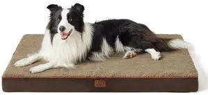 XL Dog Bed, Extra Large Pet Bed with Comfy Sherpa,44x32in Brown | Orthopedic Egg Crate Foam,Comfort Support Flat Rectangle Pet Mat,Non-Slip Bottom,Removable Cover,For Extra Pet Up to 80 lbs XL Dog Bed, Extra Large Pet Bed with Comfy Sherpa,44x32in Brown | Orthopedic Egg Crate Foam,Comfort Support Flat Rectangle Pet Mat,Non-Slip Bottom,Removable Cover,For Extra Pet Up to 80 lbs