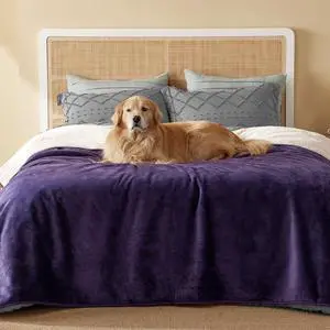 Waterproof Blanket for Bed Soft Sherpa Fleece Throw,Queen 90x86 | Plush Cozy Calming Reversible Dog Blankets for Large Senior Dogs,Warm Bed Couch Cover,Pet Furniture Protector,Eggplant Waterproof Blanket for Bed Soft Sherpa Fleece Throw,Queen 90x86 | Plush Cozy Calming Reversible Dog Blankets for Large Senior Dogs,Warm Bed Couch Cover,Pet Furniture Protector,Eggplant