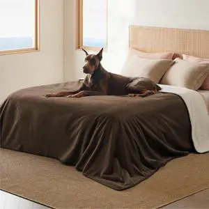 Waterproof Blanket for Bed Soft Sherpa Fleece Throw,King 108"x86" | Plush Cozy Calming Reversible Dog Blankets for Large Senior Dogs,Warm Bed Couch Cover,Pet Furniture Protector,Brown Waterproof Blanket for Bed Soft Sherpa Fleece Throw,King 108"x86" | Plush Cozy Calming Reversible Dog Blankets for Large Senior Dogs,Warm Bed Couch Cover,Pet Furniture Protector,Brown
