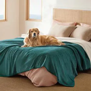 Waterproof Blanket for Bed Soft Sherpa Fleece Throw,Queen 90x86 | Plush Cozy Calming Reversible Dog Blankets for Large Senior Dogs,Warm Bed Couch Cover,Pet Furniture Protector,Green Waterproof Blanket for Bed Soft Sherpa Fleece Throw,Queen 90x86 | Plush Cozy Calming Reversible Dog Blankets for Large Senior Dogs,Warm Bed Couch Cover,Pet Furniture Protector,Green